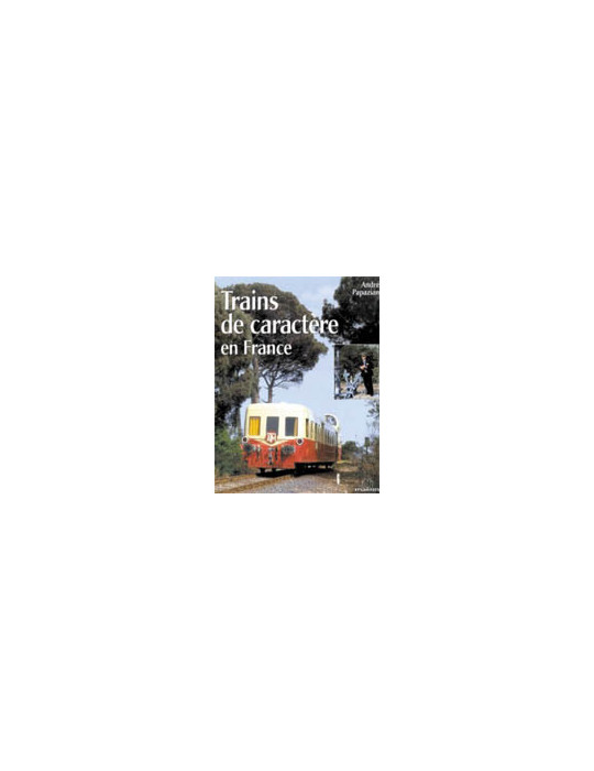 TRAINS DE CARACTERE EN FRANCE