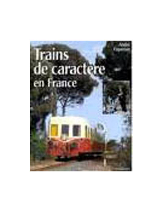 TRAINS DE CARACTERE EN FRANCE
