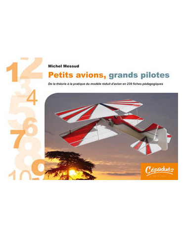 PETITS AVIONS GRANDS PILOTES
