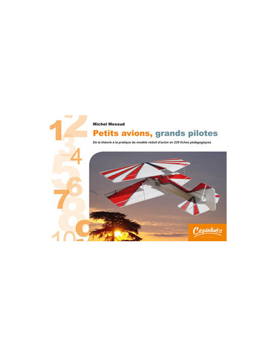 PETITS AVIONS GRANDS PILOTES