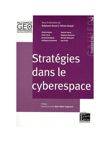 STRATEGIES DANS LE CYBERESPACE