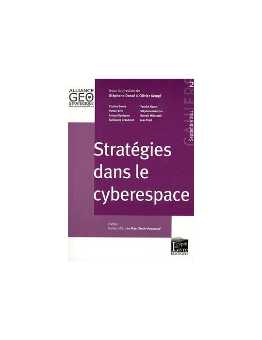 STRATEGIES DANS LE CYBERESPACE