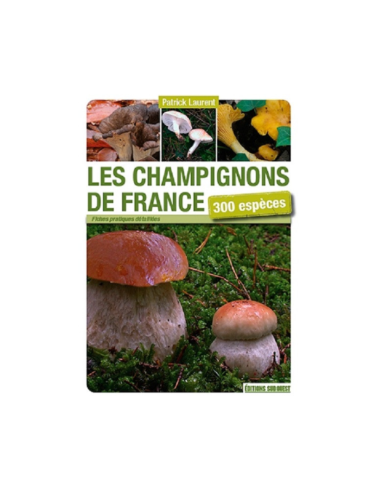 LES CHAMPIGNONS DE FRANCE 300 ESPECES LES CHAMPIGNONS DE FRANCE 300 ESPECES