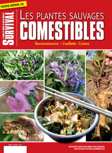 HS SURVIVAL N¡2 - LES PLANTES SAUVAGES COMESTIBLES