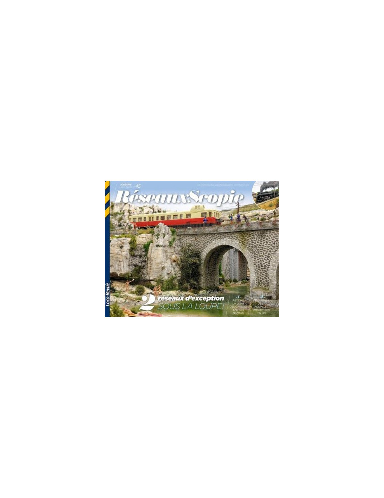 RESEAUXSCOPIE 2 RESEAUX DÔEXCEPTION SOUS LA LOUPE ! N¡45