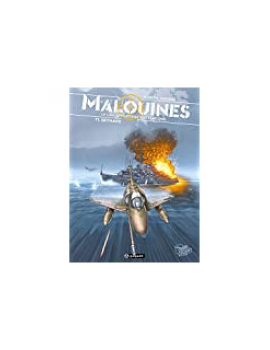 MALOUINES - LE CIEL APPARTIENT AUX FAUCONS - T1: SKYHAWK
