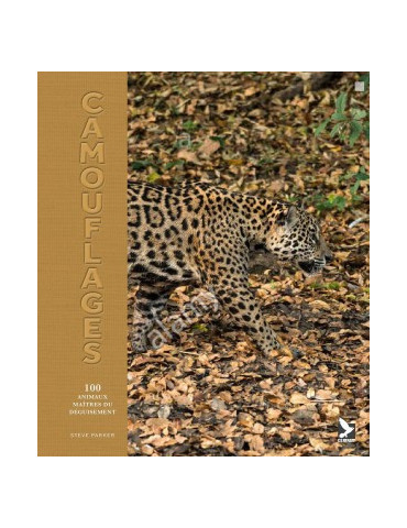 CAMOUFLAGES - 100 ANIMAUX MAITRES DU DEGUISEMENT