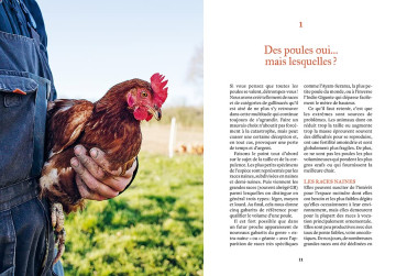 ELEVER DES POULES