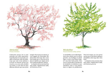 CRÉER UNE MINI FORÊT JARDIN