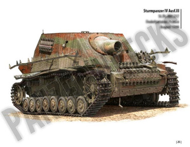 COMBAT HISTORY OF STURMPANZER-ABTEILUNG 217