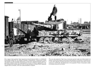 TIGER I ON THE BATTLEFIELD (Vol 7)    World War Two Photobook Series