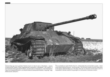 PANTHER ON THE BATTLEFIELD 2