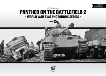 PANTHER ON THE BATTLEFIELD 2