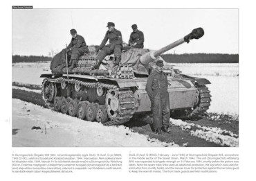 STURMGESCHUTZ III ON THE BATTLEFIELD 5