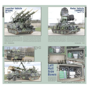 SA-6 GAINFUL IN DETAIL