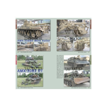 AMX-30 MBT FAMILY IN DETAIL