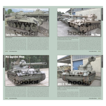 AMX-13 FAMILY IN DETAIL