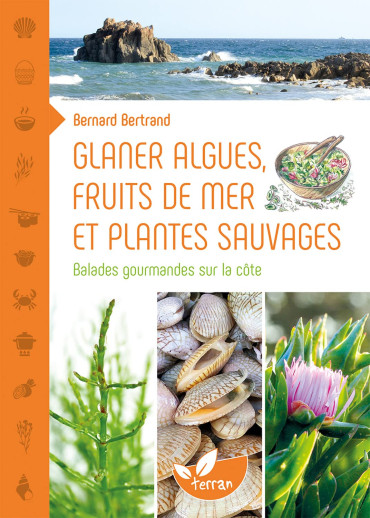 GLANER ALGUES, FRUITS DE MERS ET PLANTES SAUVAGES