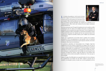 LES GENDARMES DU CIEL