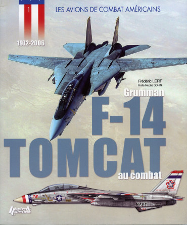 Grumman F-14 Tomcat au combat