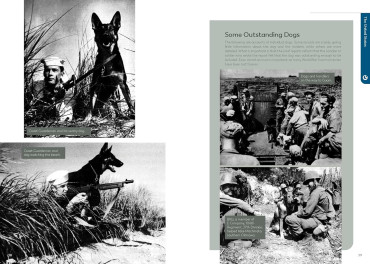 Military Dogs of World War II