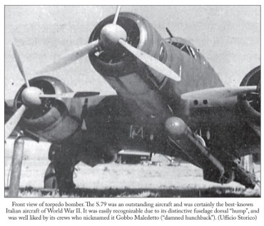 Damned Hunchbacks - Italy's Forgotten Torpedo Bomber Units of the Second World War (1940-1943)