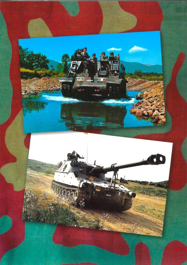 L'esercito italiano 1946-2020 - L'artiglieria : Storia, araldica, distintivi e medaglie