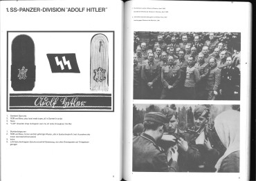 Division abzeichen der Waffen-SS. Waffen-SS its divisional insignia