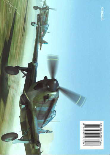 Morane Saulnier MS.406. Polish Wings 38