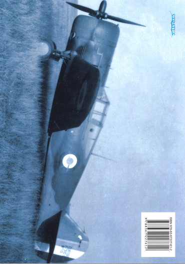 Curtiss Hawk 75: H-75/P-36a/Mohawk. Polish Wings 44