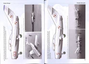 Mikoyan Gurevich Uti Mig-15 and Licence Build Versions. Polish Wings 37