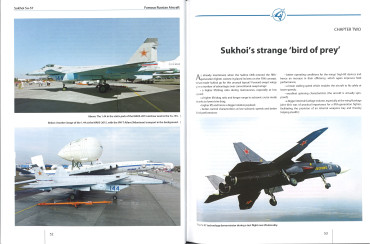 Sukhoi Su-57 : Famous Russian Aircraft