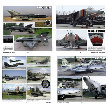 Czech Tigers in detail