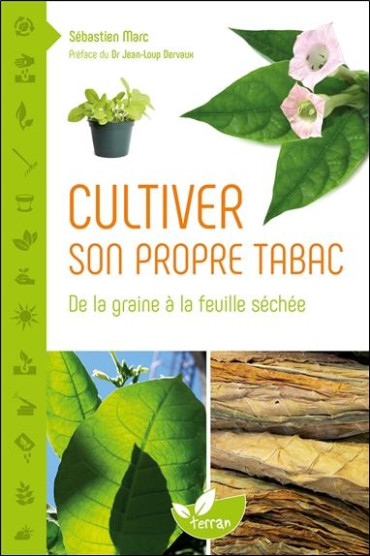 Cultiver son propre tabac - de la graine à la feuille séchée