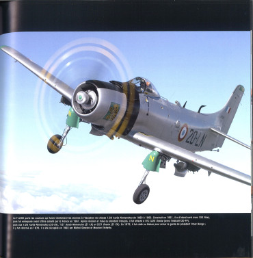 AVIONS D'EXCEPTION - LES PLUS BEAUX AVIONS DE COLLECTION EN VOL