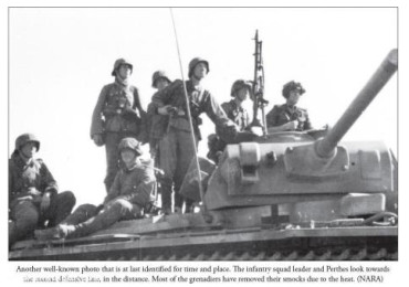 Sunwheels and Siegrunen. Wiking, Nordland and the Germanic Waffen-SS in Photographs. Tome 1