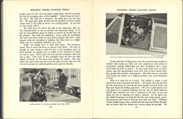 The wonder book of the R.A.F