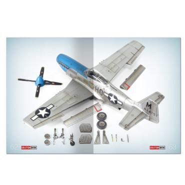 SOLUTION BOOK 27 - How to Paint Metal Finished Aircraft