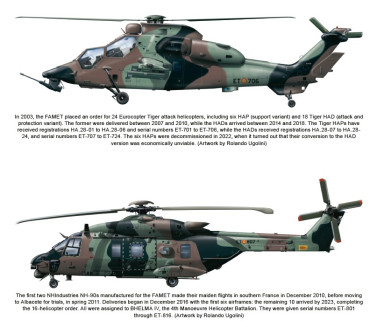 Spanish Army Aviation 1965-2023: Famet