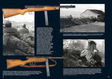 29e Division SS ITALIENNE